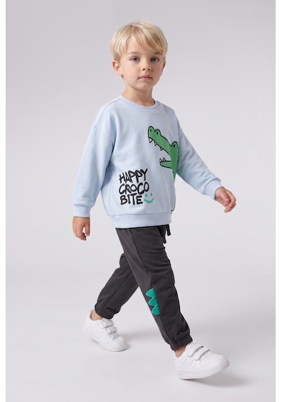 Defacto %100 Pamuk Timsah Baskılı Ve Aplike Detaylı 2li Sweatshirt Takım Erkek Bebek I3754a526wnbe771 Mavi-be771