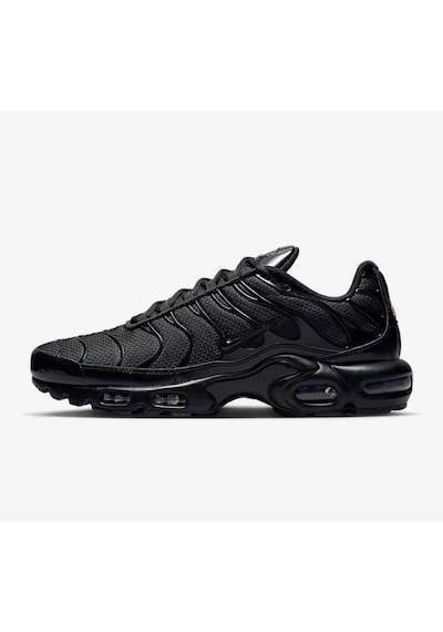 Nike Air Max Plus Tn Siyah