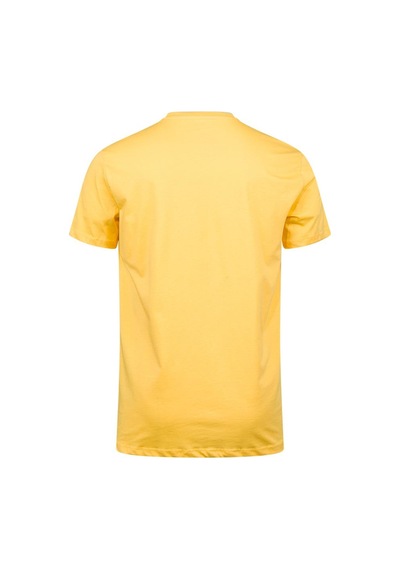 2as Alex Baskılı Erkek Sıfır Yaka T-shirt 016 Sarı