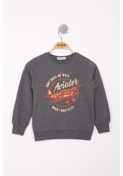 Toontoy Kids Toontoy Erkek Çocuk Uçak Baskılı Sweatshirt Antrasit Melanj