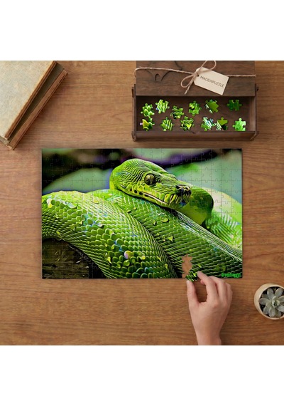 Yeşil Ağaç Pitonu Tasarımı 240 Parça Ahşap Puzzle Ahşap Kutuda Mpy10112