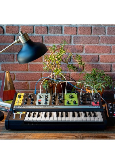 Moog Grandmother Semi-modüler Analog Synthesizer