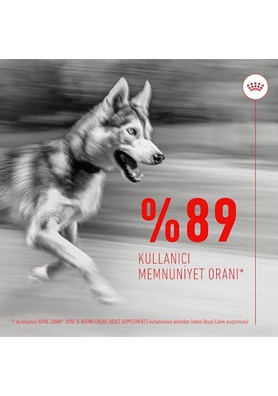 Ayrex Joint&ageing Chews Yetişkin Köpekler İçin Eklem Ve Zindeliklı Yaşlanmayı Destekleyen Tamamlayıcı Ödül M