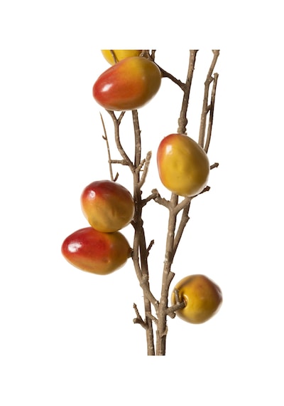 Mudo Home Natural Meyve Dal Çiçek 75 Cm Diğer