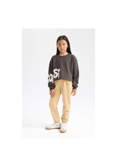 Defacto Kız Çocuk Bisiklet Yaka Baskılı Kalın Sweatshirt D2882a824wnar227 Antrasit