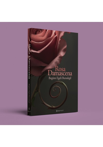 Rosa Damascena Damask Gülü