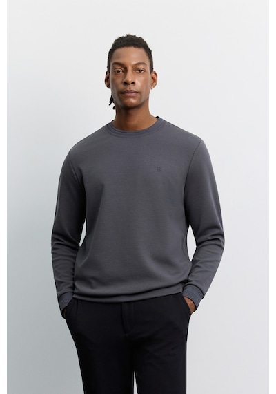 Avva Erkek Antrasit Bisiklet Yaka Kolay Ütülenen Regular Fit Sweatshirt B001035