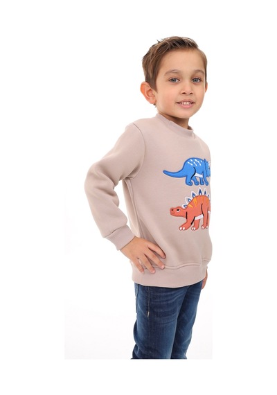 Toontoy Kids Toontoy Erkek Çocuk Nakışlı Sweatshirt Bej