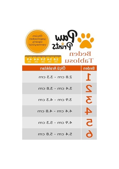 Akınalbella Kaydırmaz Kauçuk Tabanlı Köpek Ayakkabısı, Reflektörlü Antrasit