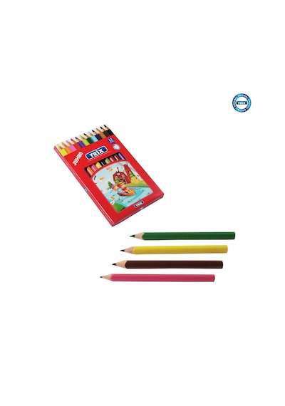 12 Li Jumbo Kuru Boya 12'li Karışık