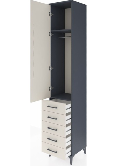 Hyperion Dolap 2 Raflı 5 Çekmeceli Tek Askılı 44x44x243 Antra... Antrasit