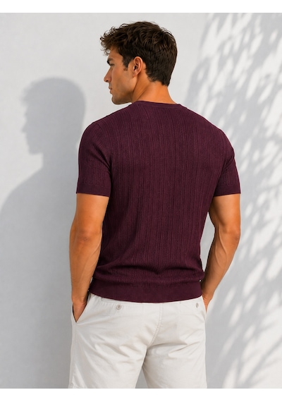 Ribana Erkek Bisiklet Yaka Kısa Kollu Esnek Örme Triko T-shirt 26091 Mürdüm