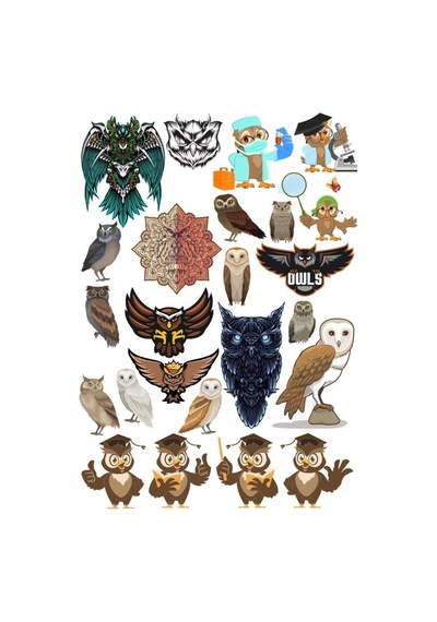 Baykuş Owl Sticker Set-16 16 Parça Telefon, Tablet, Defter, Laptop Sticker