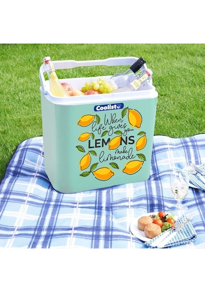 Ayrex Coolist Clb30lm Limon Desenli Buzluk, 30 Litre + 3 Adet Buz Kaseti 400gr Diğer