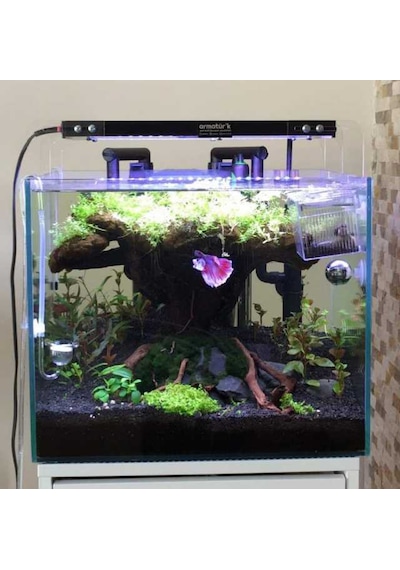 60cm Eko Akvaryum Aydınlatma