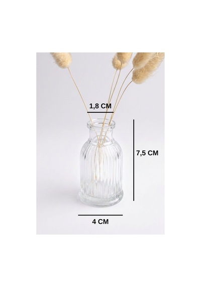 12 Adet Çizgili Mini Vazo 7,5 Cm Kahve Yanı Küçük Dekoratif Vazo 35 Ml Şeffaf