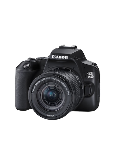 Canon EOS 250D 18-55 MM IS STM DSLR Fotoğraf Makinesi + 32 GB Hafıza + Çanta (İthalatçı Garantili)