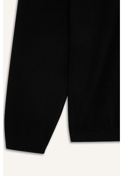 Defacto Boxy Fit Dik Yaka Yarım Fermuarlı Polar Sweatshirt E8632ax25wnbk81 Siyah
