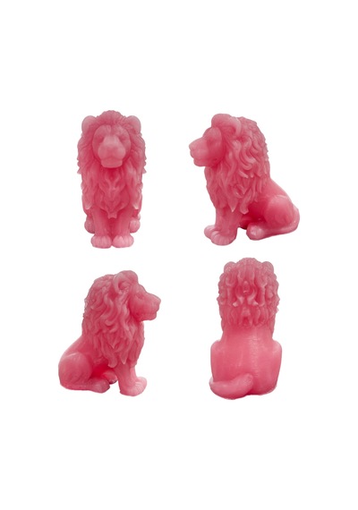 Tahtakale Toptancı Silikon 3d Aslan Figürü Mum Kalıbı
