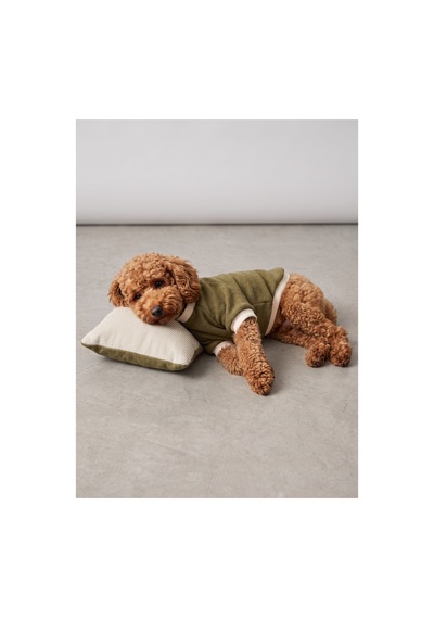 Natura Cozy Pati & Yastık Nefti Yeşil Polar Köpek Sweatshirt Ve Mini Yastık 3 Parça