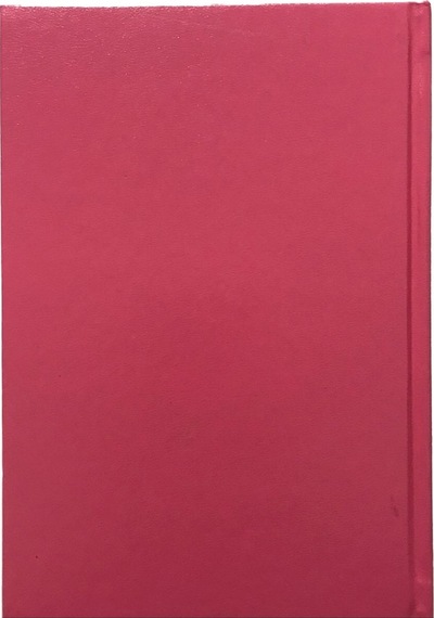 14x20 Ciltbezi Günlük Ajanda Pembe