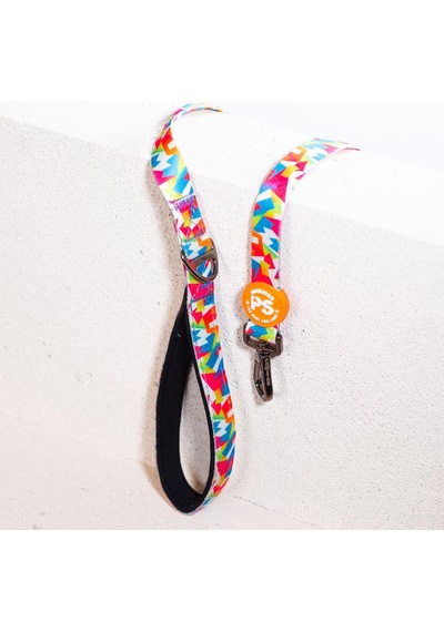 Mosaic Leash Kedi Köpek Sevk & Gezdirme Kayışı Köpek Uzatma Tasması-1,5cm Mavi