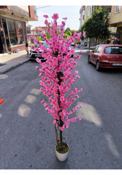 Rüzgar Yapay Çiçekçilik 175 Cm Beyaz Saksida Pembe Bahardali Ağacı Pembe