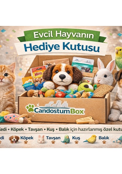 Candostumbox Evcil Hayvan Hediye Kutusu Kedi Köpek Tavşan Kuş V