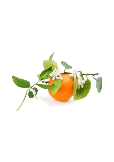N-C Vitmics 1000Mg C Vitamini 20 Efervesan Tablet