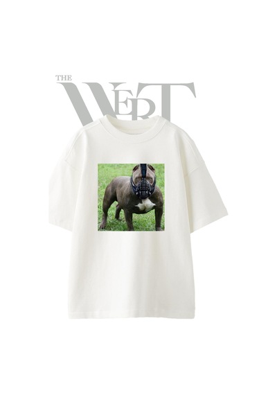 Thewert Pitbull Bane Tasarım Baskılı Ünisex Beyaz Oversize T-shirt