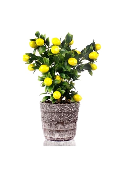 Yapay Çiçek Seramik Saksıda Limon Ağacı