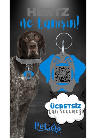 Petjoo 26.Hertz Mavi-Gri Qr'lı Köpek Künyesi