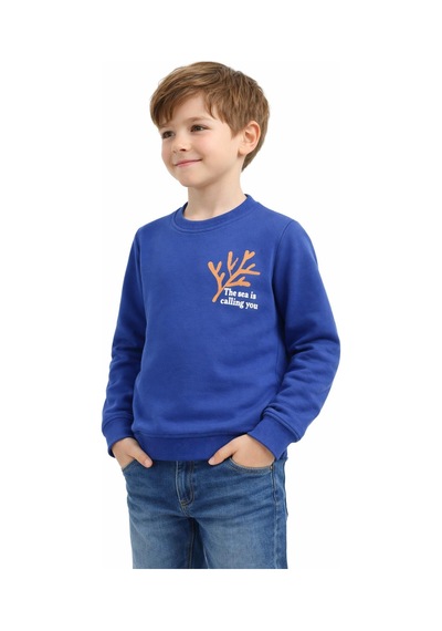 Baglan Erkek Çocuk Önü Baskılı Sweatshirt Bgl-st05238 İndigo