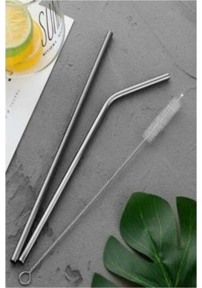 Mithra Life 2 Li Metal Paslanmaz Çelik Pipet Ve Temizleme Fırçası Mıt1116