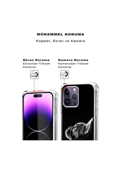 Samsung Galaxy S23fe İle Uyumlu Köpek 1 Baskılı Şeffaf Köşe Korumalı Antişok Kılıf