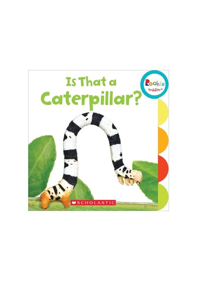 Rookie Toddler: Is That A Caterpilla