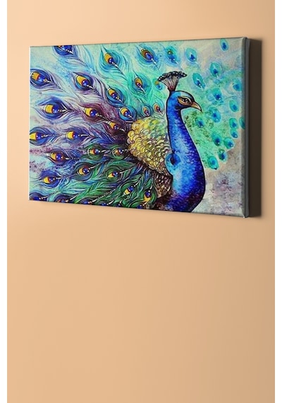 Webstyle Bereket Tavus Kuşu Sayılarla Boyama Seti Kasnaklı 40x50 Cm