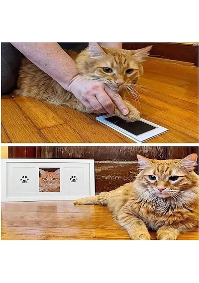 Konyax Kedi Köpek Pati İzi Fotoğraf Çerçevesi Seti