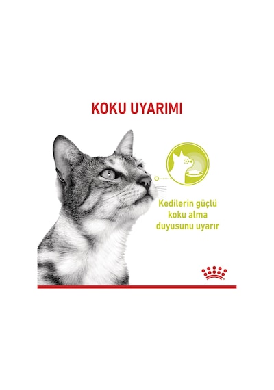 Royal Canin Sensory Smell Gravy Yetişkin Kedi Konservesi 85 G