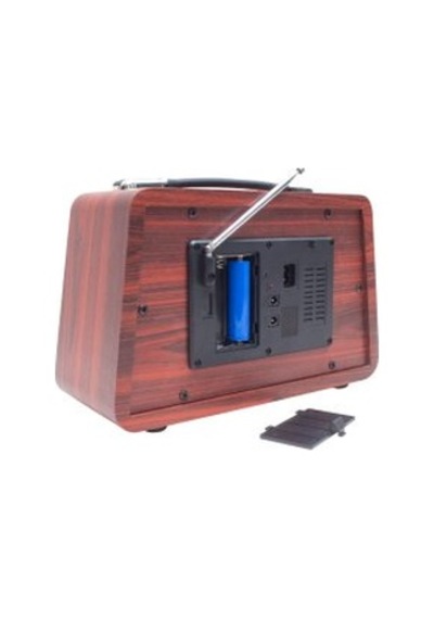 Everton Rt 810 Radyo