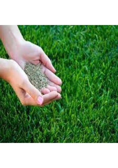 5KG Çim Tohumu İthal 3Lü Karışım Özel Çim Tohumu T