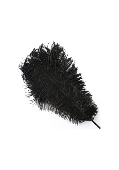 400 Pcs Decor Vıp Black Bırd Feather 400 Adet Siyah Kuş Tüyü Siyah Şeffaf Balon Tüyü Süsleme Tüyü