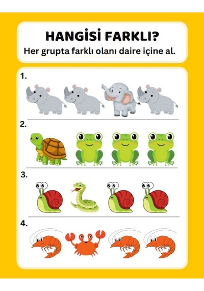 Okul Öncesi Farklı Olanı Bul Yaz-sil Kitabı
