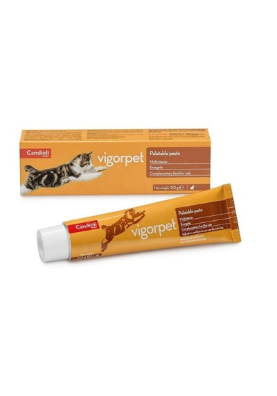 Candioli Vigorpet Cat 50 G Kedi Enerji, Canlılık Ve Multivitamin Macunu - Nekahat Dönemi si