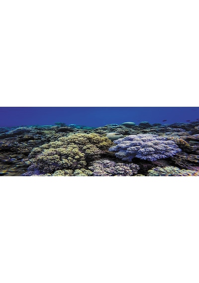 Kanki Pet Akvaryum Arka Fon Yapıştırma 185x65 Cm Kp1856520