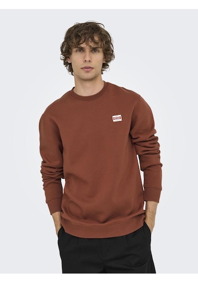 Only & Sons Onsdawson Reg Crew Vd Çok Renkli