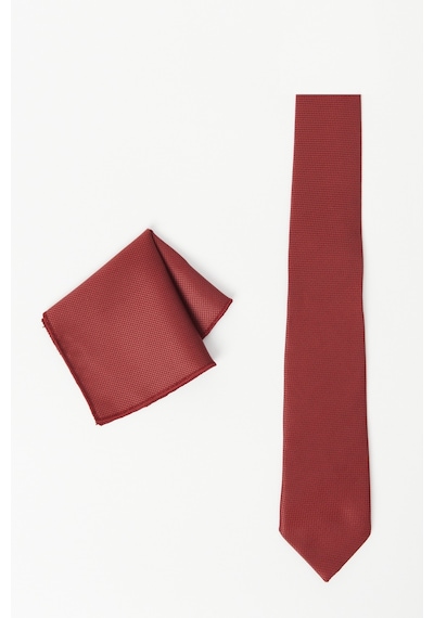 Ac&Co / Altınyıldız Classics Erkek Bordo Desenli Kravat - Mendil Set Bordo