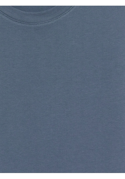 Lcwaıkıkı Classic Mavi Slim Fit %100 Pamuk Basic Tişört