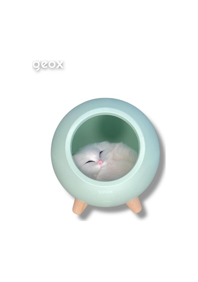Geox Little Pet House Masa Lambası, Gece Lambası, Abajur, Yeşil