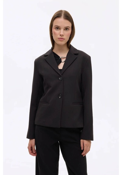 Quzu Çift Düğmeli Dikiş Detaylı Siyah Kadın Blazer Ceket Ckt00882 Siyah